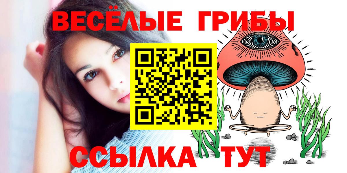 Псилоцибиновые грибы GOLDEN TEACHER Владивосток