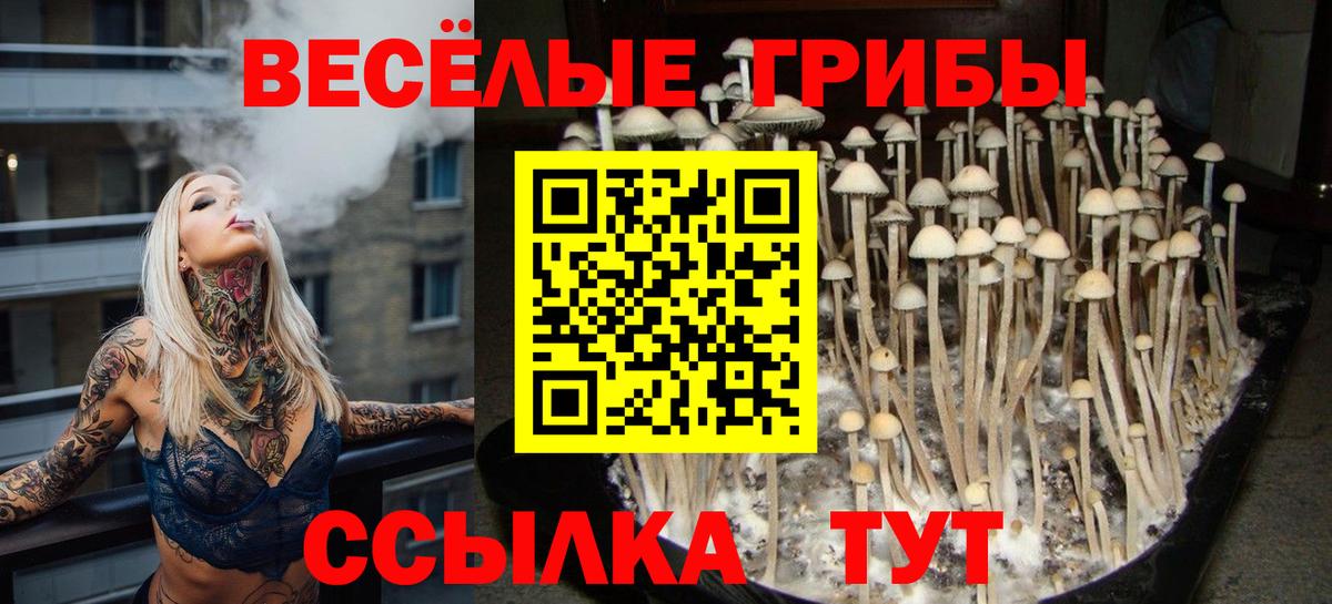 Владивосток  Псилоцибиновые грибы GOLDEN TEACHER  Вход с VPN 
